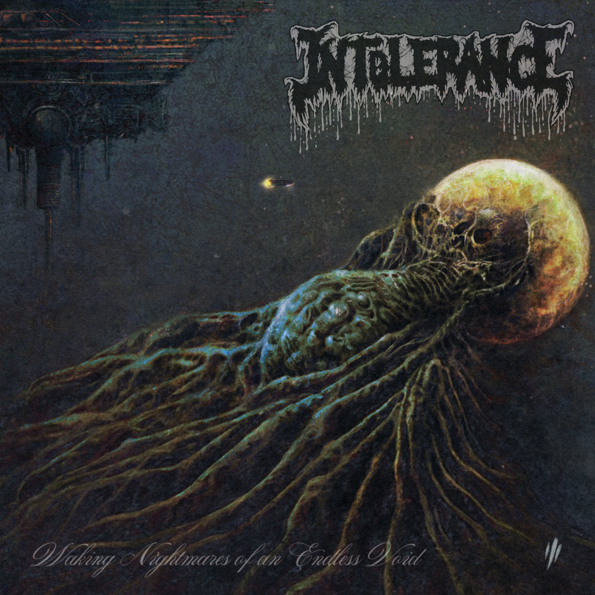 Intolerance - Waking Nightmares of an Endless Void LP